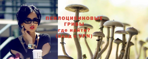 твердый Козельск