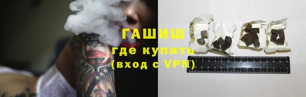 твердый Козельск