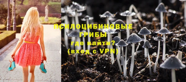 метамфетамин Козловка