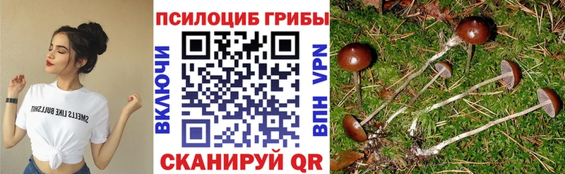 Галлюциногенные грибы Cubensis  Усть-Джегута 